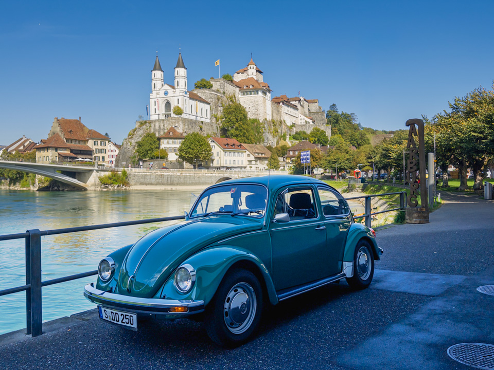 K&auml;fer vor der Aarburg