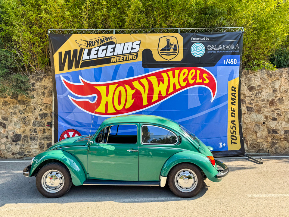 K&auml;fer vor der Aarburg