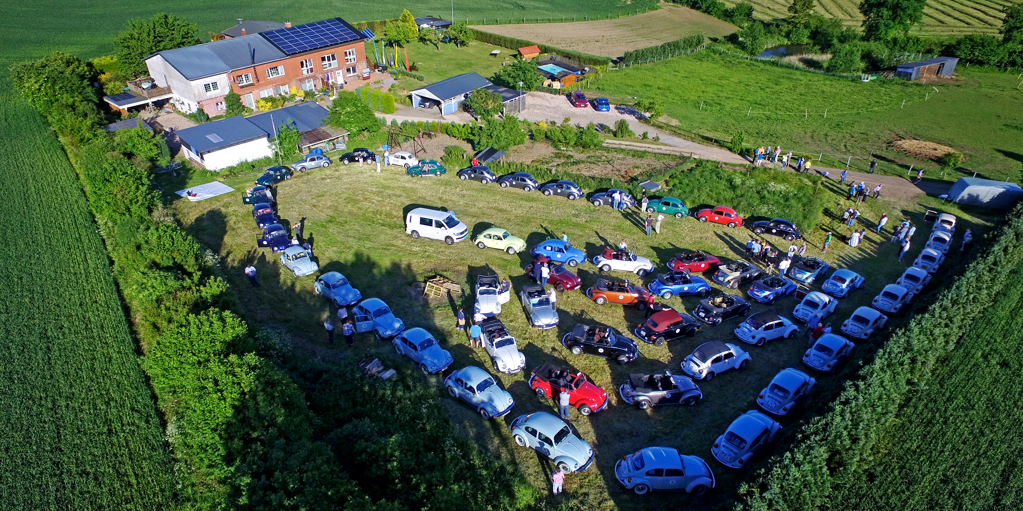 Käferrast bei Heino in Plunkau, Schleswig-Holstein