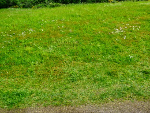 Meerfeld observation tower