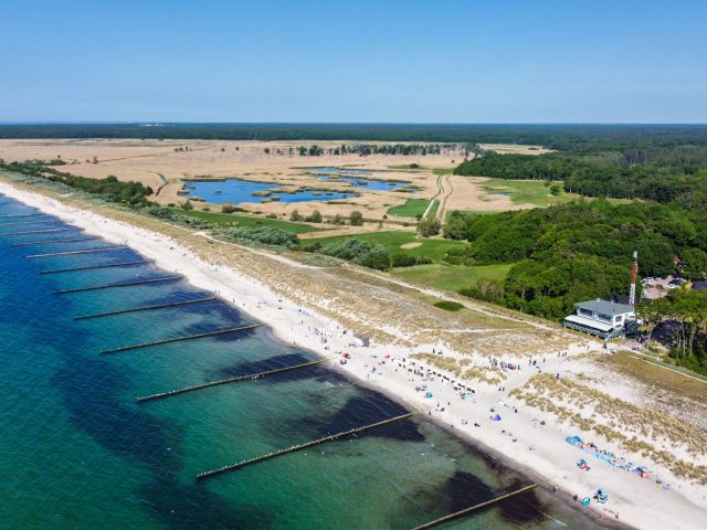 Boya azul, Markgrafenheide
