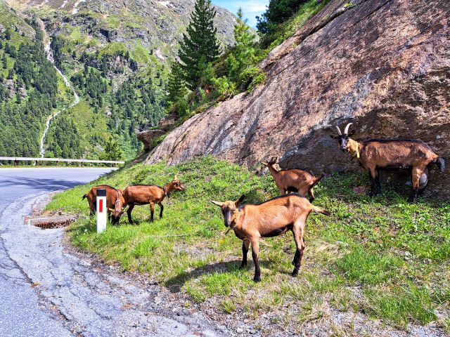 Carretera del glaciar Kaunertal