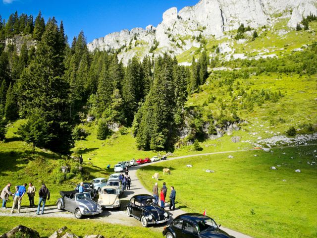 Parque Natural de Diemtigtal