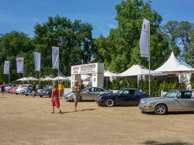 Not only beetles were presented