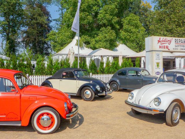 Entrega de los escarabajos de exposici&oacute;n