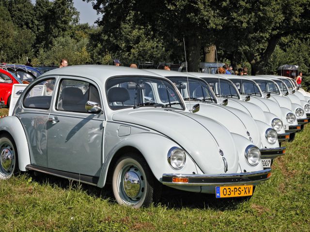 Reuni&oacute;n de escarabajos de Schinveld