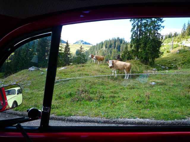 Aussichten aus dem Käfer