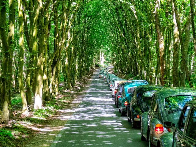 Convoy ride through rustic landscapes