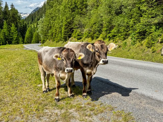 Kaunertaler Gletscherstraße