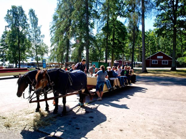 Carriage ride on the island of Visingsö