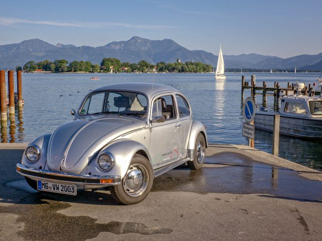 Club Beetle in front of the Chiemsee