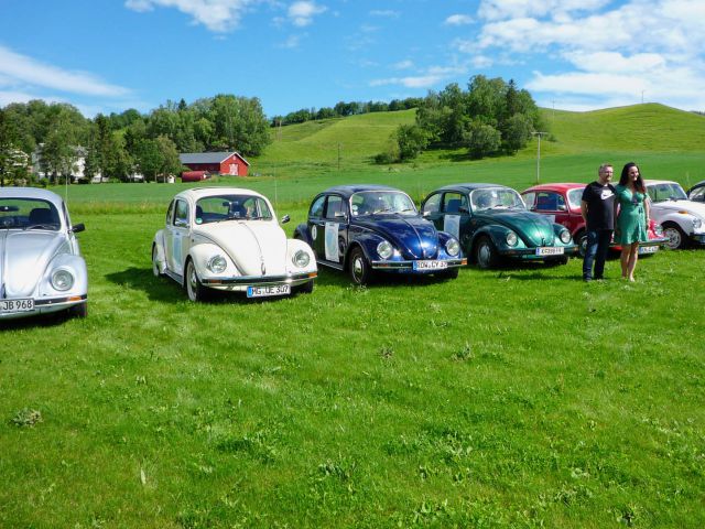 Museo VW en Ler