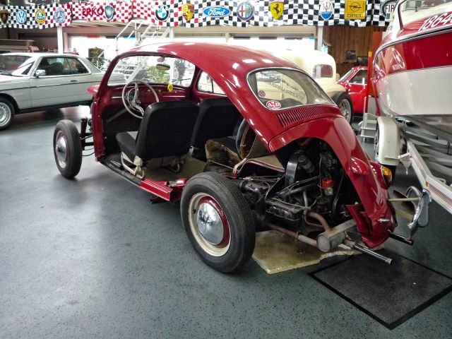 Cutaway beetle