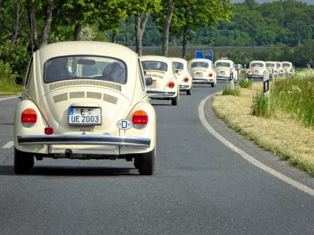 Fahrt durch das Elmtal