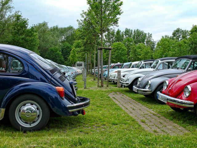 Bird Park Parking