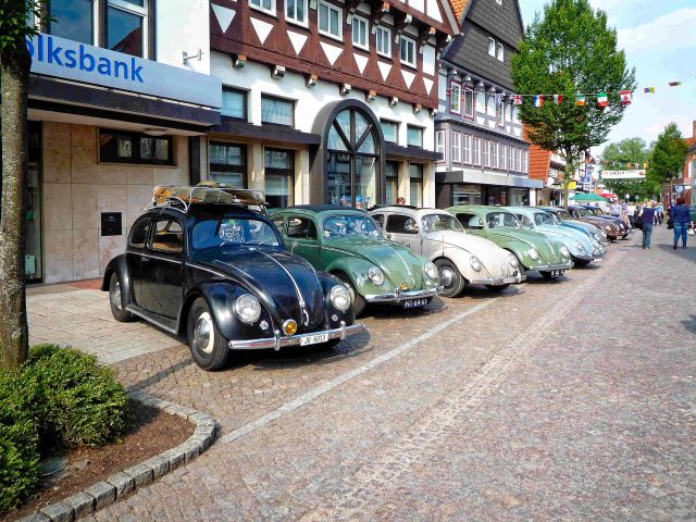 7th International Vintage Volkswagen Show