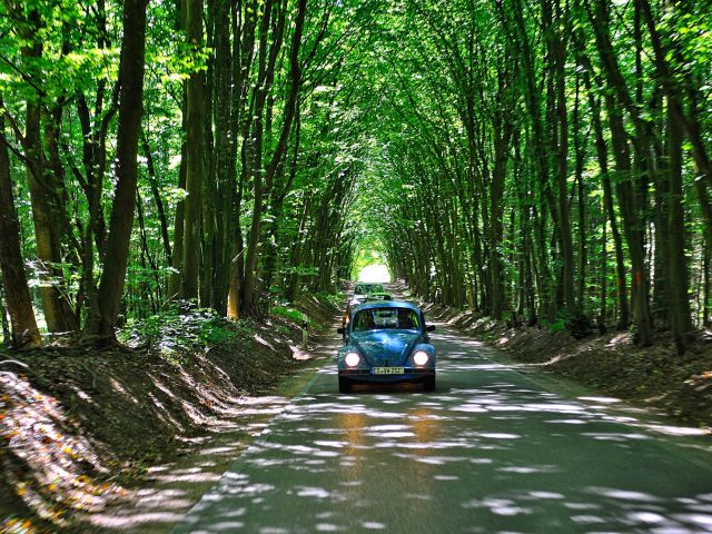 Convoy ride through rustic landscapes