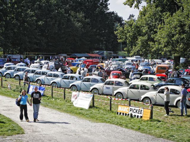 Reunión de escarabajos de Schinveld