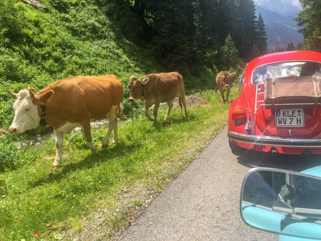 Fahrt nach Partenen