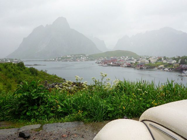 Reine