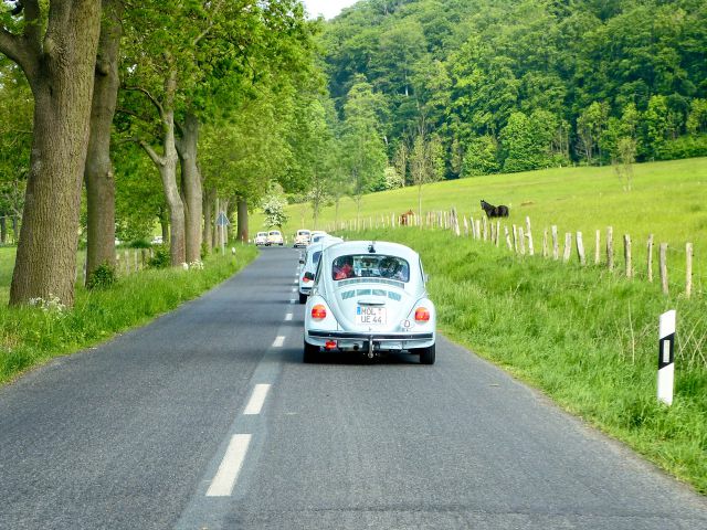 Ride through the Elm Valley