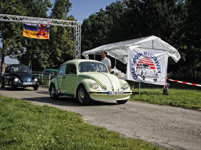 Schinveld Beetle Meeting