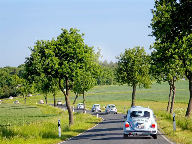 Rückfahrt zum Hotel