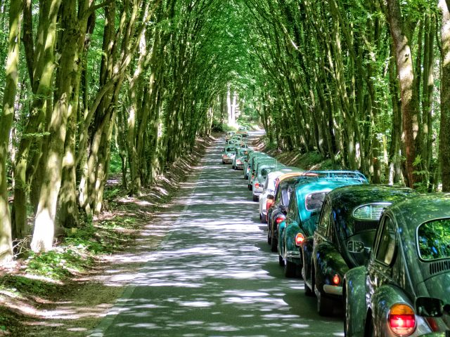 Convoy tour through Holstein Switzerland